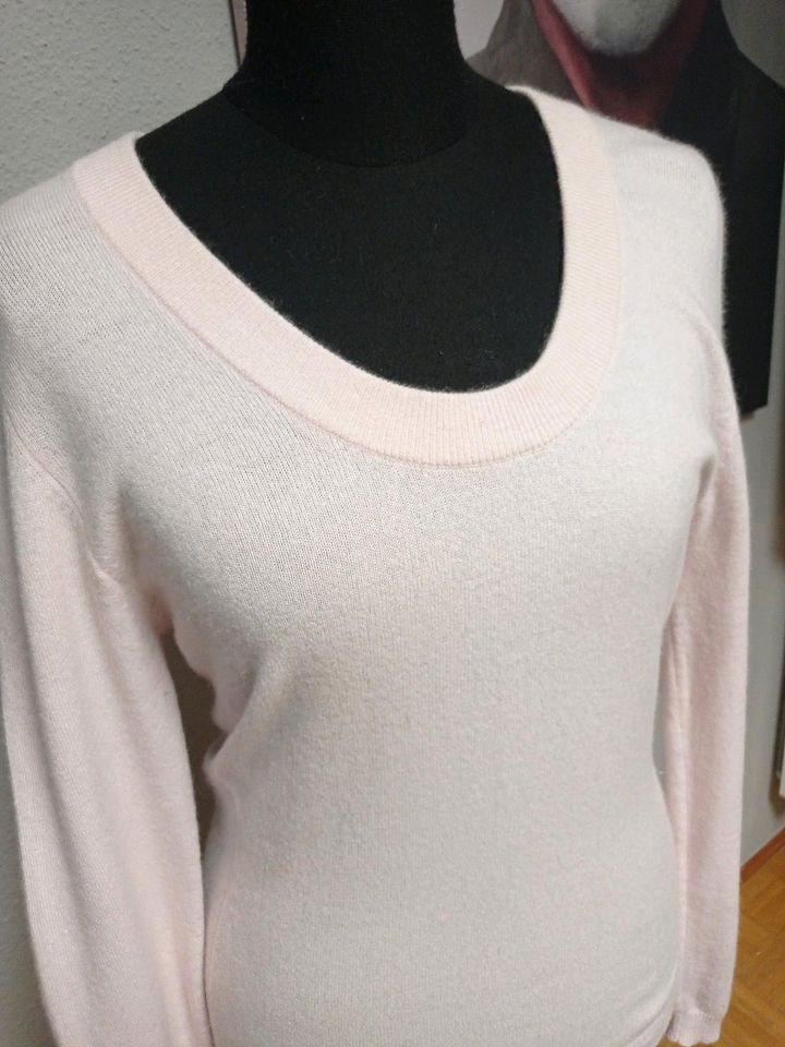 Allude Kaschmir Pullover,Gr 38, rose in Würzburg