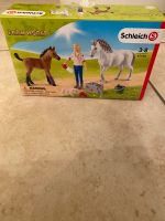 Schleich 42486 Arztbesuch bei Stute und Fohlen Rheinland-Pfalz - Gönnheim Vorschau