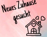 Suche Wohnung Bayern - Leipheim Vorschau