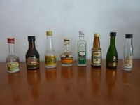 8 Miniatur Flaschen Fläschchen leer Likör Alkohol Sammler Bailys Baden-Württemberg - Zimmern ob Rottweil Vorschau
