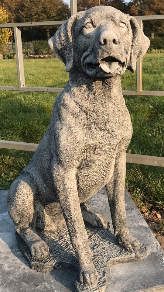 Labrador Retriever 80cm 90kg Lebensgroß Steinguss Labbi Lab Hund in Magdeburg