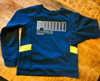 Puma Pullover - Gr. 140 Sachsen - Lichtentanne Vorschau