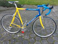 Basso Novita Rennrad 64cm komplett Campagnolo Dortmund - Husen Vorschau