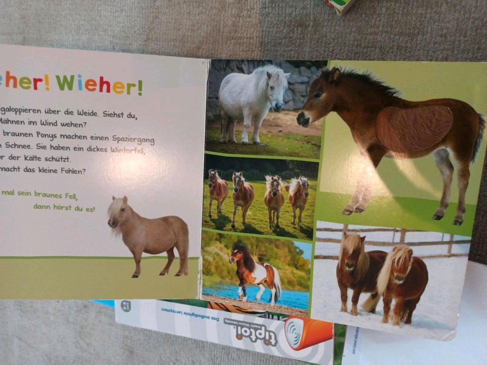 Wieso weshalb warum junior Kleinkind Bücher Baby Buch in Durmersheim