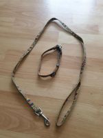 Hundeleine mit Halsband Nordrhein-Westfalen - Hemer Vorschau