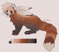 Fursona Kiko Roter Panda Charakter Adopt Design Fursuit friendly Baden-Württemberg - Rheinmünster Vorschau