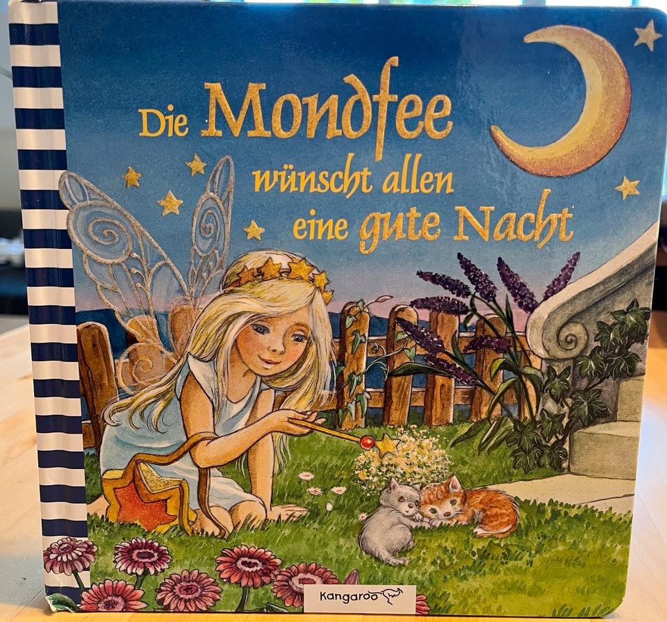 Gute-Nacht-Geschichte „Die Mondfee“ (Top!) in Dresden