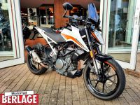 KTM Duke 390 6.500km Puig Kennztr. kurz mit Garantie Nordrhein-Westfalen - Borchen Vorschau