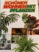 Schöner Wohnen Pflanzen Zimmerpflanzen Trockenblumen Ratgeber Berlin - Pankow Vorschau