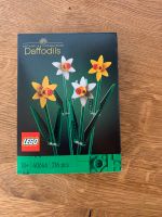 Lego 40646 Narzissen NEU Bayern - Greding Vorschau