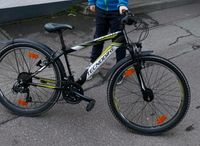 Tecnobike Sorrento Fahrrad  26 Zoll Baden-Württemberg - Bruchsal Vorschau