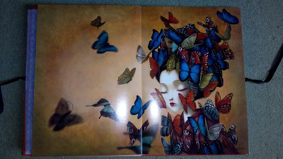 XXL Kunstbuch: Madame Butterfly, Benjamin Lacombe, Sammlung in Freiburg im Breisgau