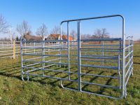 Panelbox mit Fressgitter 3x 3,6m Pferdebox Box Pferd Panel Gitter Brandenburg - Treuenbrietzen Vorschau