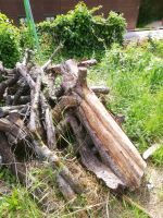 Obst Holz verschinde Größe Bayern - Zeilarn Vorschau