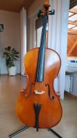 1/2 Cello inkl. Bogen und Tasche Nordrhein-Westfalen - Schieder-Schwalenberg Vorschau