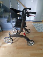 Rollator BESCOMEDICAL  mit Rollstuhl Funktion Berlin - Reinickendorf Vorschau