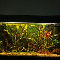 Juwel Aquarium 120 Liter + Unterschrank Niedersachsen - Dörverden Vorschau