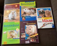 Mäuse / Rennmäuse Bücher / Ratgeber Niedersachsen - Braunschweig Vorschau