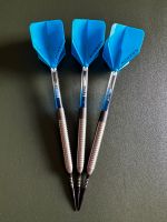 Elimate Darts 23gr Niedersachsen - Bahrdorf Vorschau