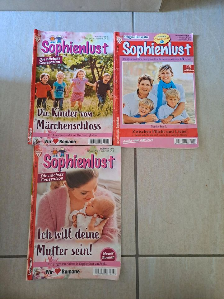 Karton voll Bücher, Sophienlust, Romane,Thriller in Naunhof