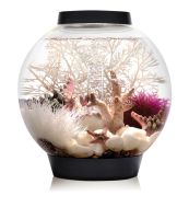 -50% Aquarium OASE biOrb 15L. Classic 15 incl. DEKO Set Sachsen-Anhalt - Stendal Vorschau