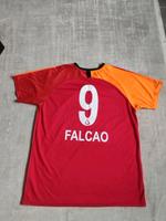 Herren Unisix Jugendliche Trikot Falcao Nike Dri -Fit Saarland - Überherrn Vorschau