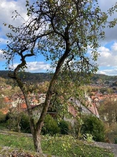 Selbst schuld, wenn Sie diese Chance verpassen ! Schmuckstück vermietet, mit  3 separaten Wohnungen und traumhaftem Grundstück sein Eigen nennen ! in Steinbach-Hallenberg (Thüringer W)