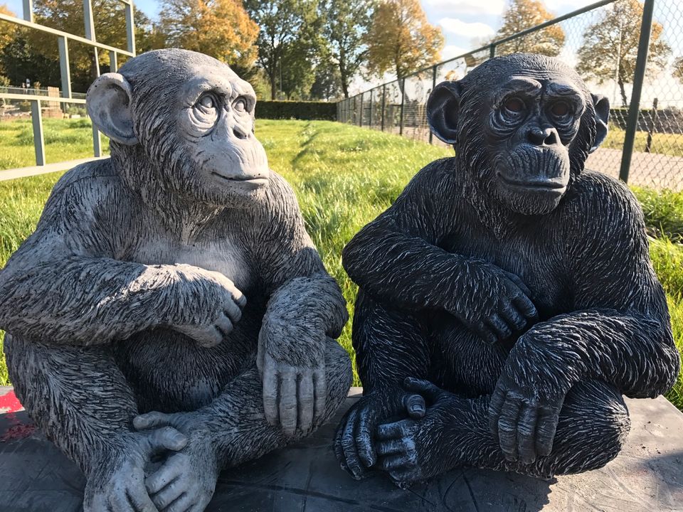 ‼️Schimpanse 52cm Chita Bonobo Steinguss Affe Affen Menschenaffen in Magdeburg