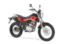 RIEJU Tango 125i Scrambler - Luftgekühlt - Neu! - 125ccm Niedersachsen - Schwaförden Vorschau