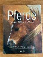 Pferde - mit der Mähne im Wind Baden-Württemberg - Eppelheim Vorschau