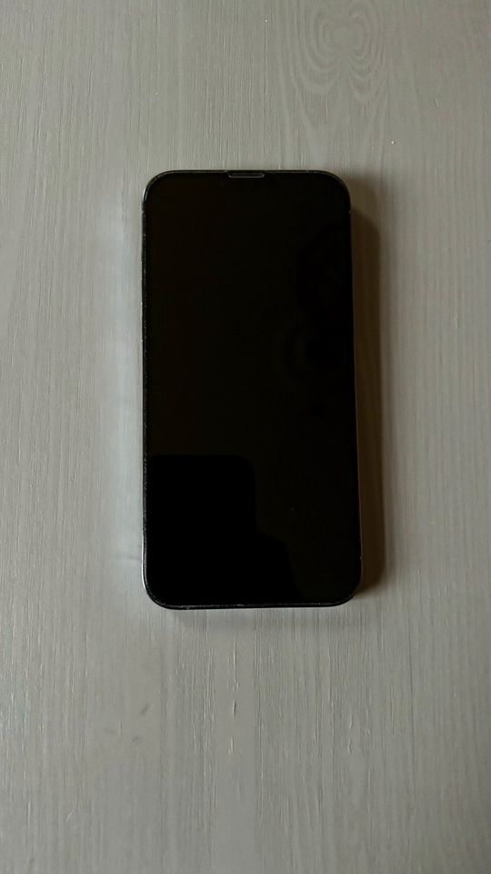 iPhone 13 Pro Max 1TB Sierrablau in Frankenthal (Pfalz)