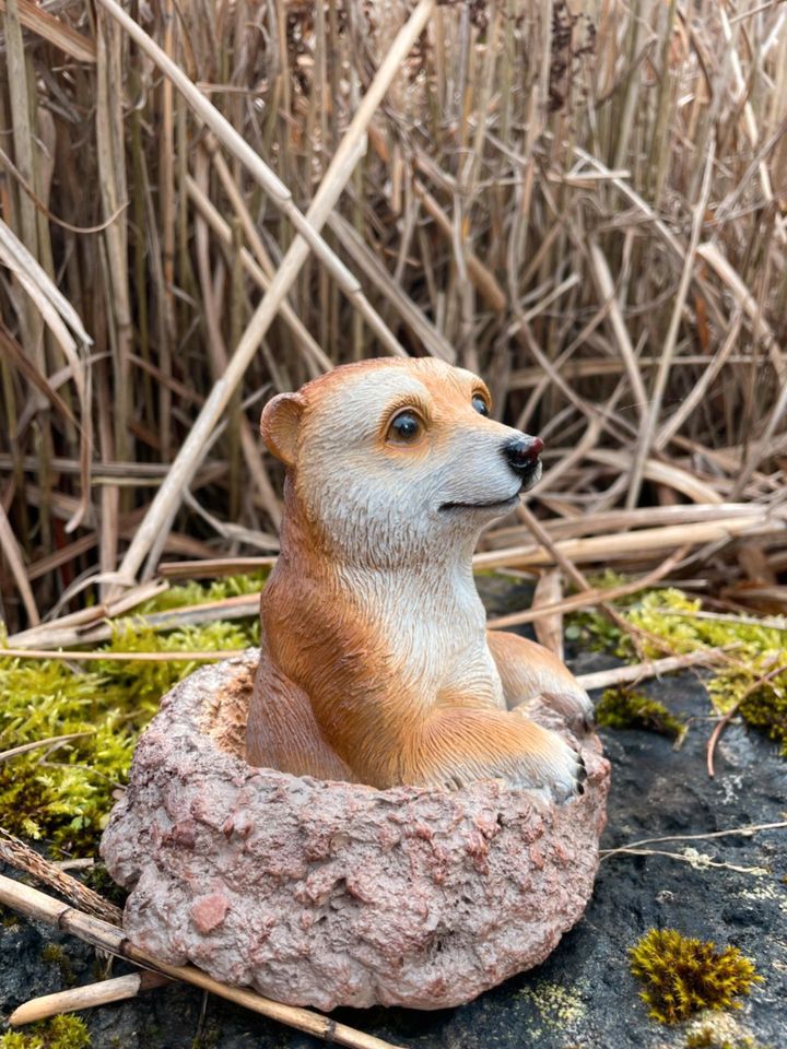 Erdmännchen Erdmann Deko Garten Haus Figur Scherzartikel Tier in Waldbreitbach