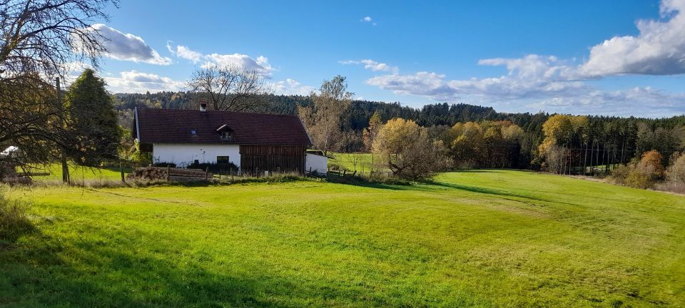 BEZAUBERNDES SACHERL PRIVAT in Schöllnach