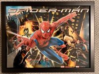 Spiderman Stern Flipper Bild Backglass Translite Motiv Saarland - Wadern Vorschau
