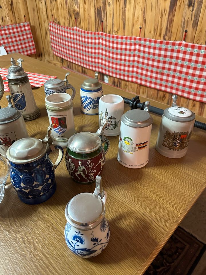 Bierkrüge / Krüge mit Deckel - verschiedene in Hofkirchen