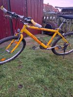 Mountainbike Fahrrad Peugeot  Größe 26×1,95 Hessen - Gelnhausen Vorschau