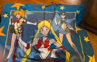 ❤️Sailor Moon Anime  Naoko Takeuchi Stoff  nähen Rest Rheinland-Pfalz - Landau in der Pfalz Vorschau