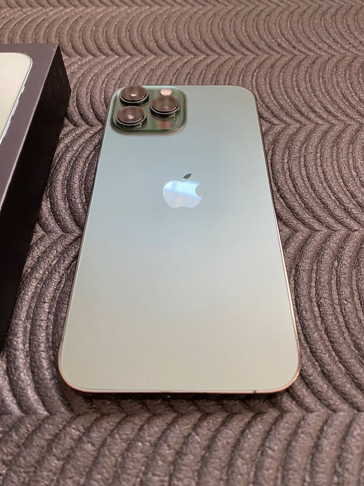 V/T iPhone 13 Pro Max Alpine Green in Halle