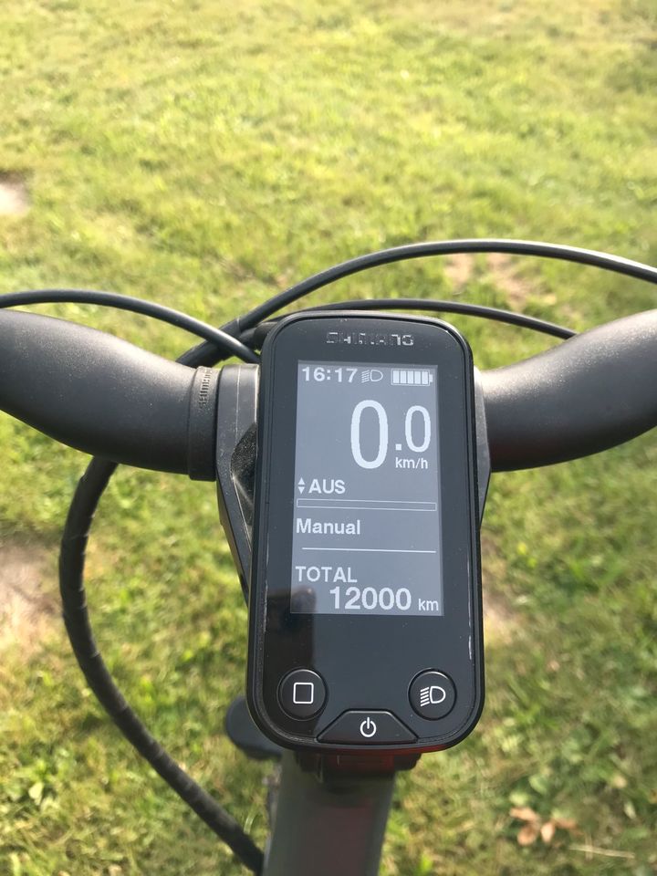 Damen E-bike in Hähnichen