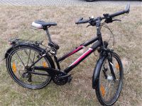 Pegasus Avanti 26" Damen ATB 26 Zoll Damenfahrrad 21 Gang Hessen - Schöffengrund Vorschau