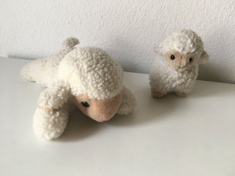 Kuscheltiere Schaf Schäfchen weiß in Bodenheim
