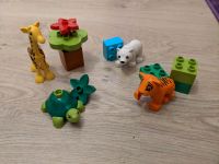 Lego Duplo 10801 Jungtiere Niedersachsen - Celle Vorschau