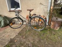 28“ Vintage Damenrennrad komplett restauriert Müritz - Landkreis - Rechlin Vorschau