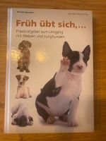 Früh übt sich - Praxisratgeber zum Umgang mit Welpen und Jagdhund Niedersachsen - Wunstorf Vorschau