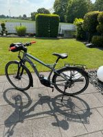 VELO DE VILLE PEDELEC SPORT LEB 800 Nordrhein-Westfalen - Alpen Vorschau