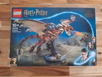 Neu Lego Harry Potter * 76406 * Ungarischer Hornschwanz Saarland - Rehlingen-Siersburg Vorschau
