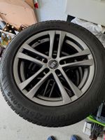 Allwetterreifen 225/55R17 Goodyear Vector 4S G2 auf Alufelge TEC Nordrhein-Westfalen - Marl Vorschau