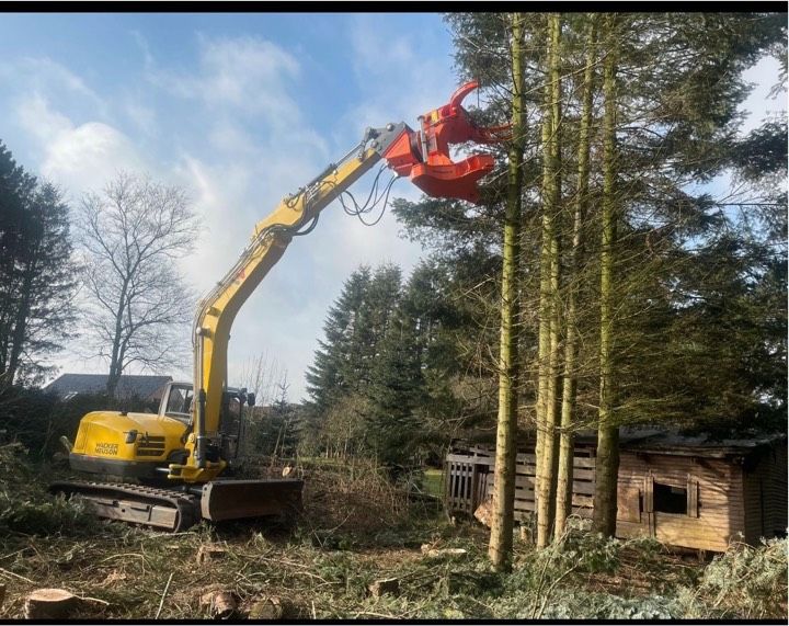 Gefahr Baum durchforstung  Fällen Baumfällung Rodungen Wald. in Wermelskirchen