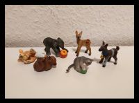 ❤️ Schleich - Tierbabys, Elefant, Kitz, Katze, Bär, Zicklein,Hund Berlin - Hohenschönhausen Vorschau