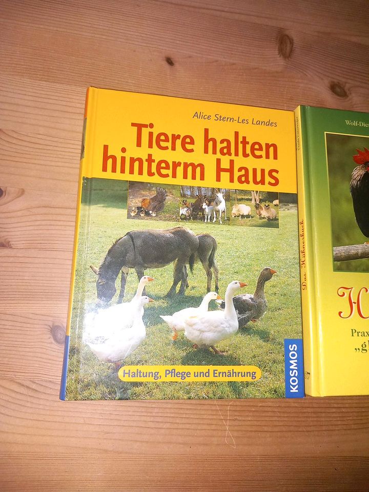 Bücher Hühner halten / Tiere hinterm Haus 1 A Zustand in Bentzin